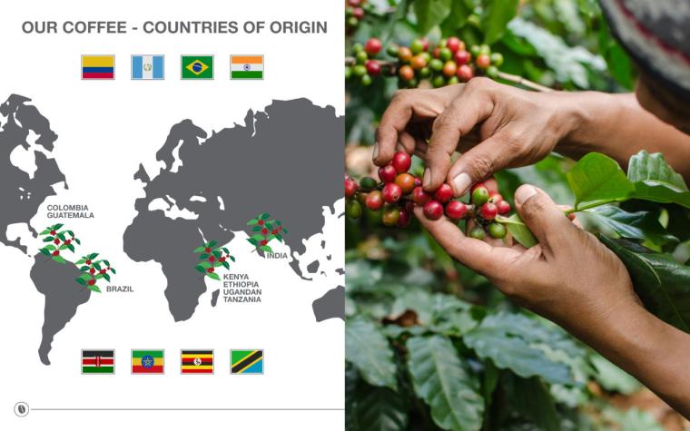 Cafe Caps and Caffeluxe Product Offering